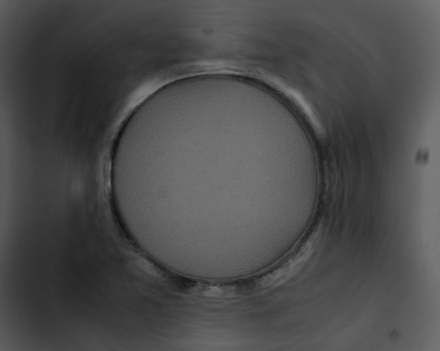 X0000102841365200809081209