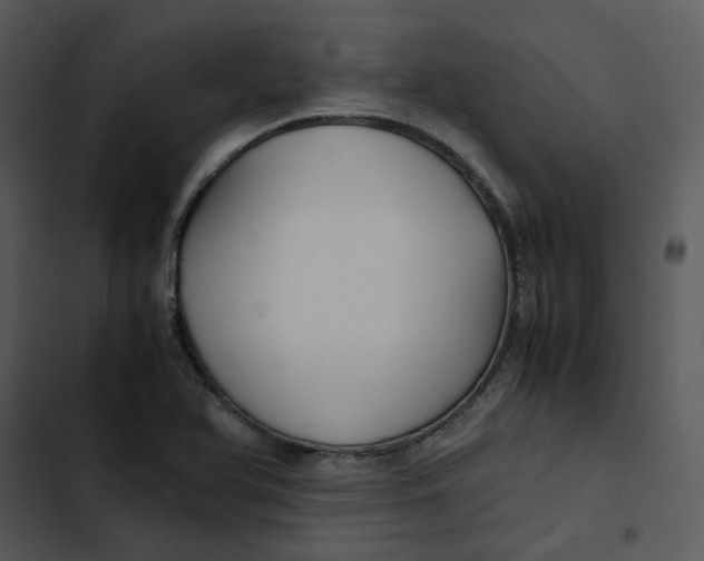 X0000102841366200809081209