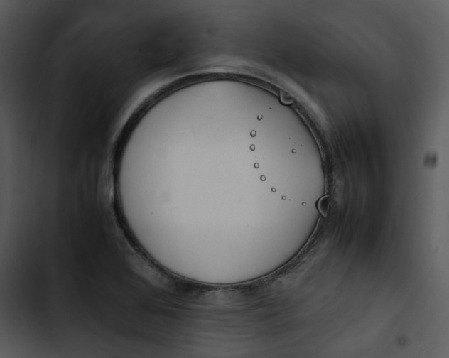 X0000102841368200809081209