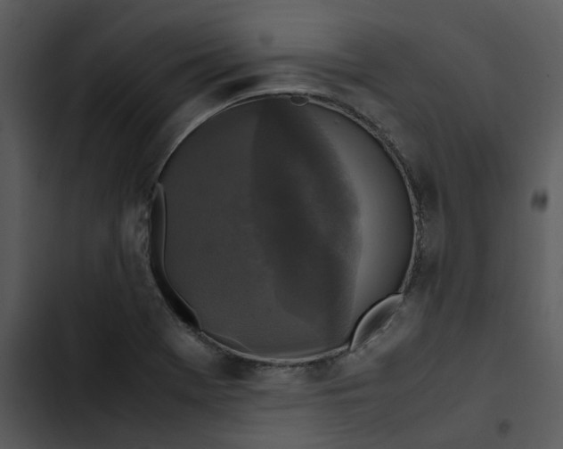 X0000102841369200809081209