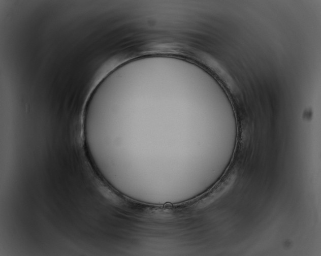 X0000102841370200809081209