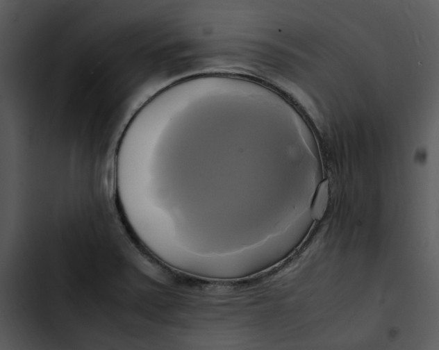 X0000102841371200809081209