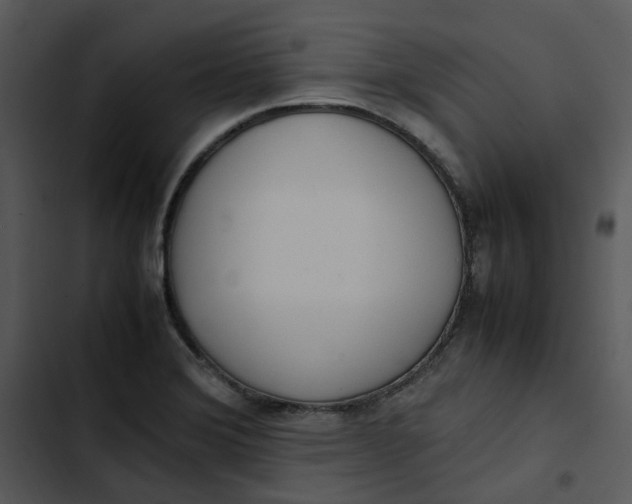 X0000102841372200809081209