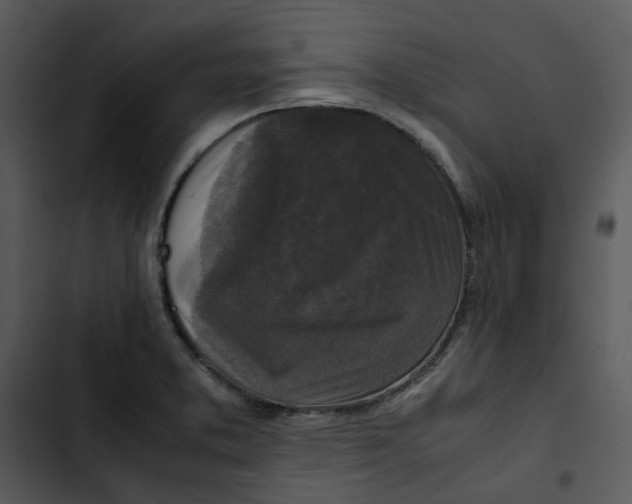 X0000102841373200809081209