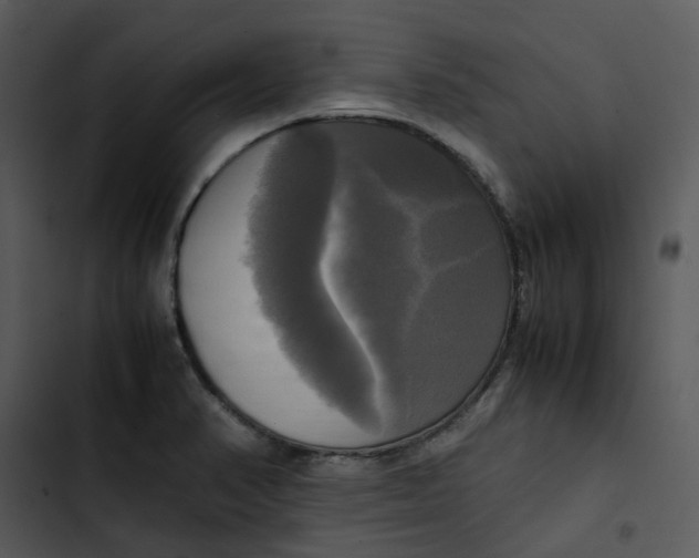 X0000102841374200809081209