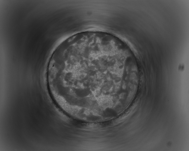 X0000102841375200809081209