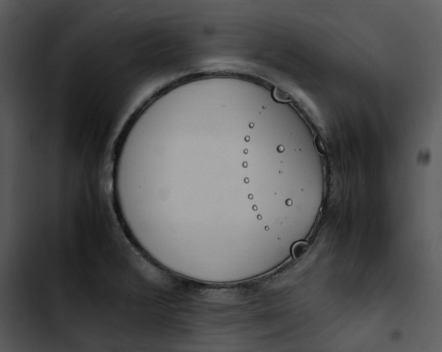 X0000102841376200809081209