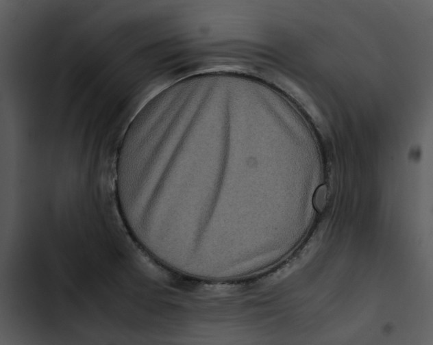 X0000102841377200809081209