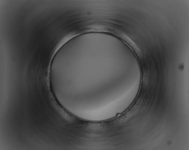 X0000102841378200809081209