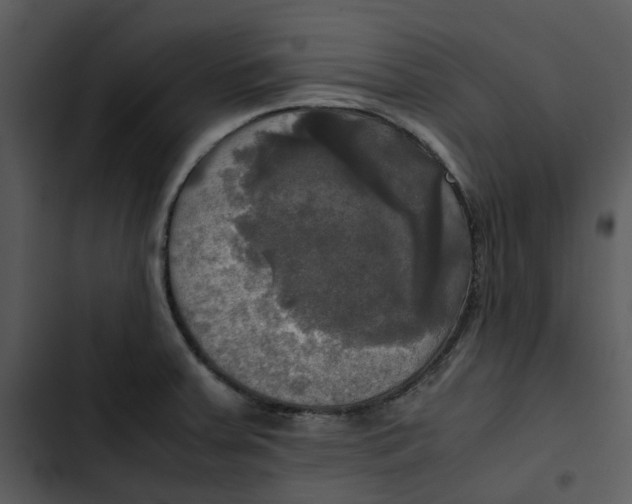 X0000102841379200809081209