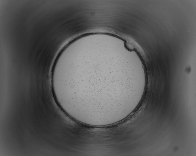 X0000102841380200809081209