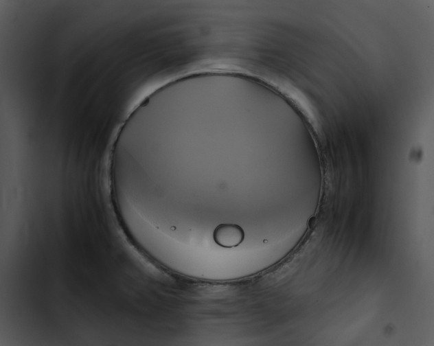 X0000102841382200809081209