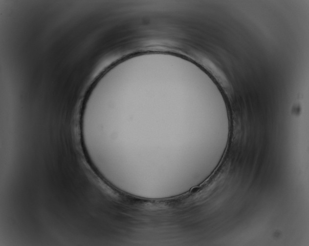 X0000102841384200809081209