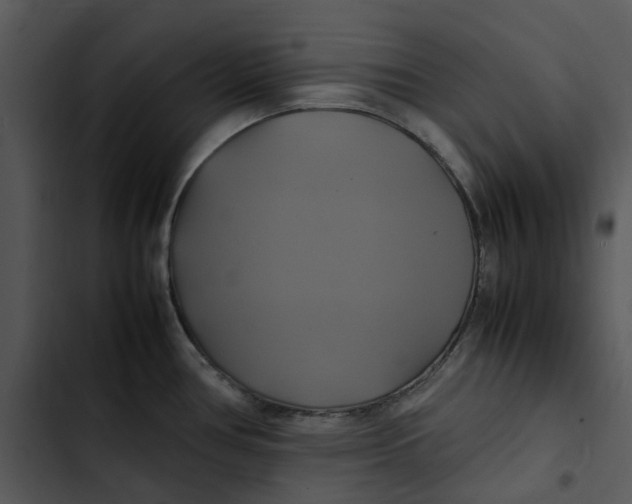 X0000102841386200809081209