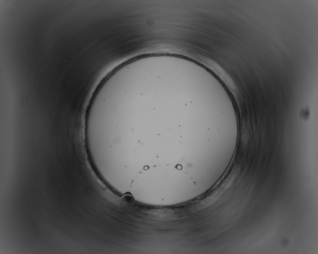 X0000102841388200809081209