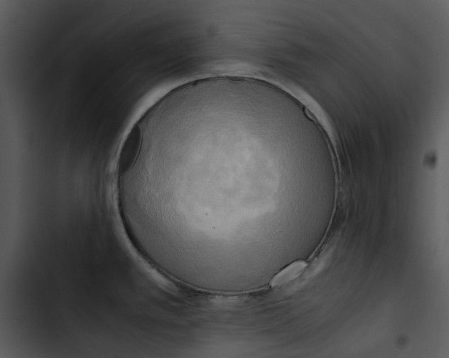 X0000102841389200809081209