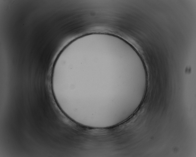 X0000102841392200809081209