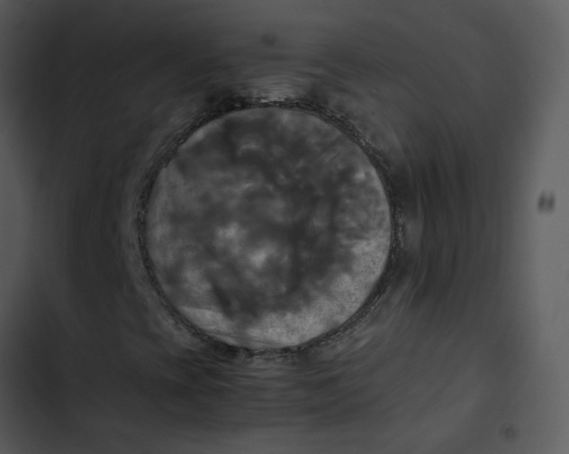 X0000102841393200809081208