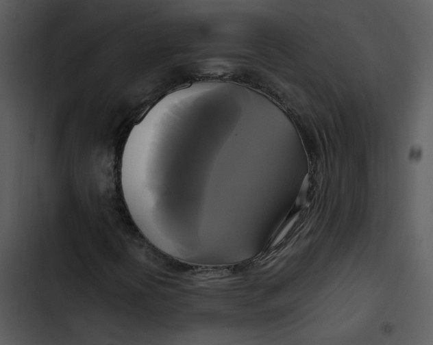 X0000102841394200809081208