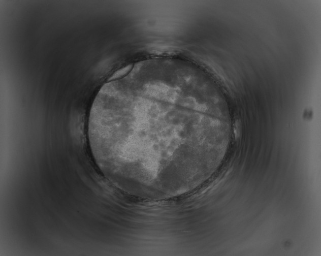 X0000102841396200809081208