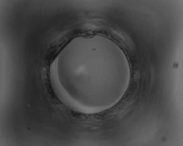 X0000102841397200809081208