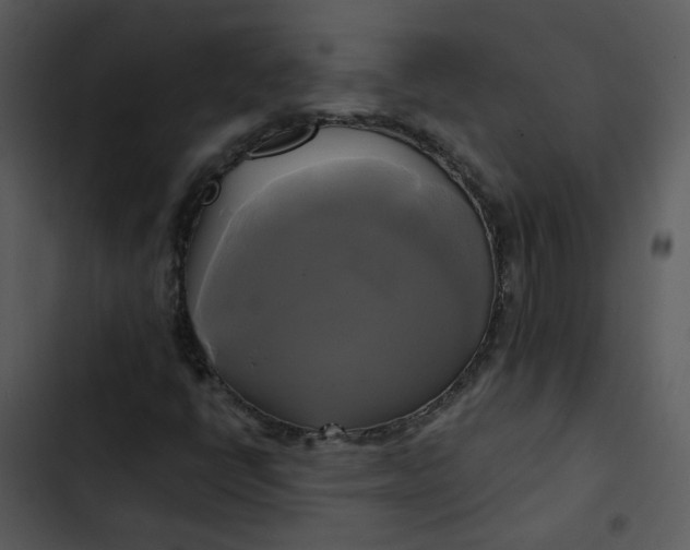 X0000102841398200809081208