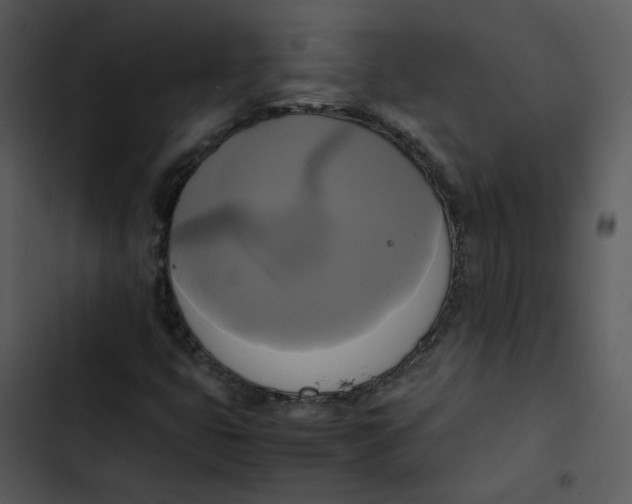 X0000102841399200809081208