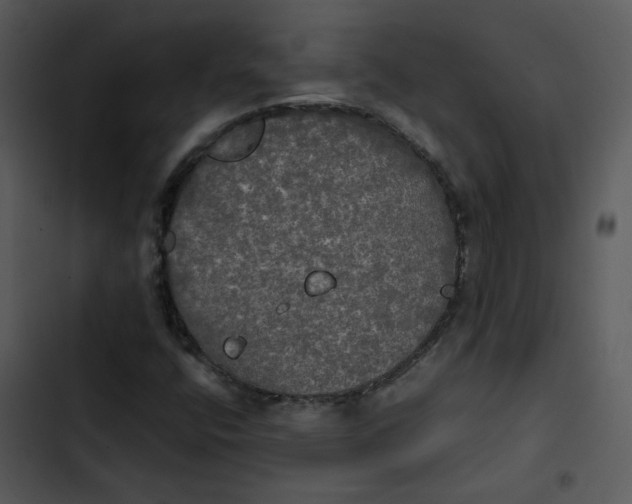 X0000102841400200809081208