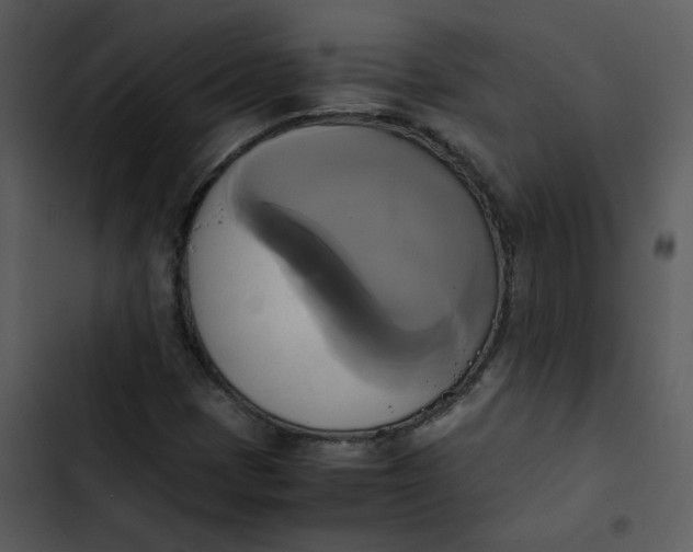 X0000102841401200809081208