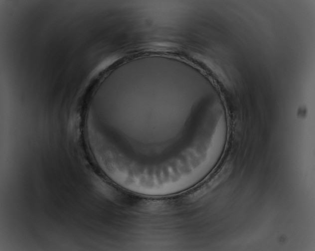 X0000102841402200809081208