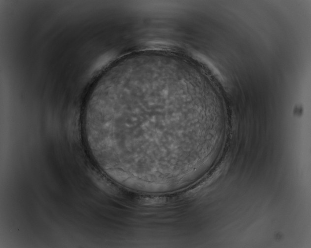 X0000102841403200809081208