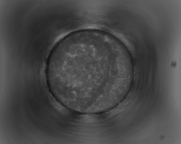 X0000102841404200809081208