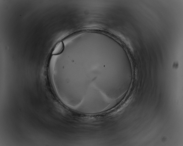 X0000102841405200809081208