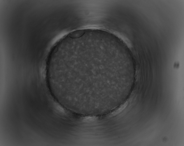 X0000102841406200809081208