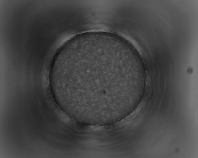 X0000102841407200809081208