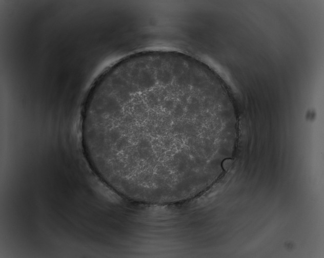 X0000102841408200809081208