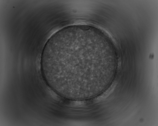 X0000102841409200809081208