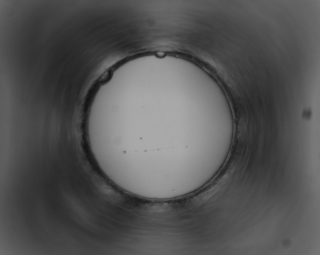 X0000102841410200809081208