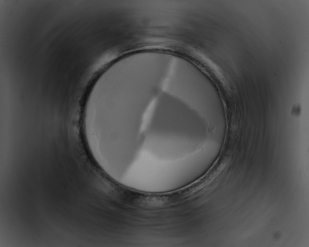 X0000102841411200809081208