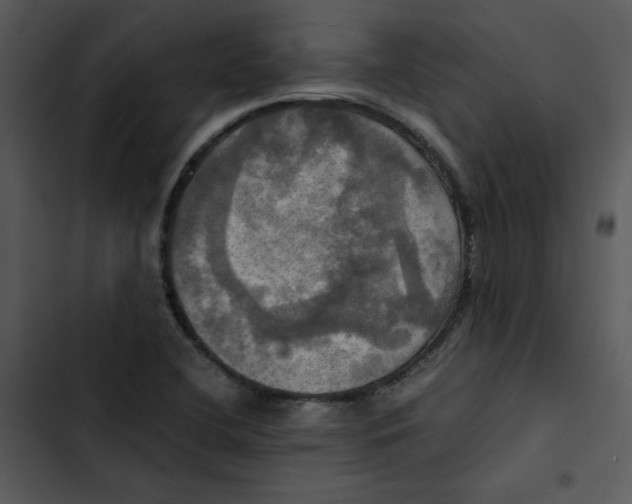 X0000102841412200809081208