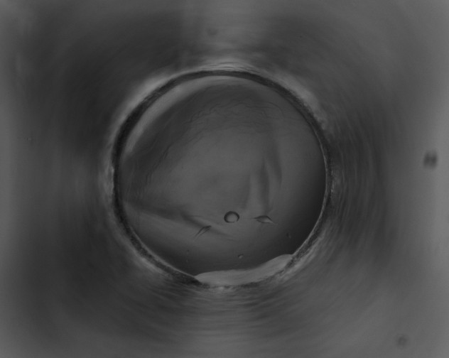 X0000102841414200809081209