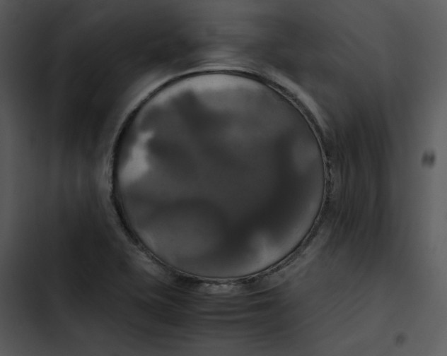 X0000102841415200809081209