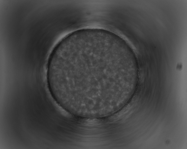 X0000102841416200809081209