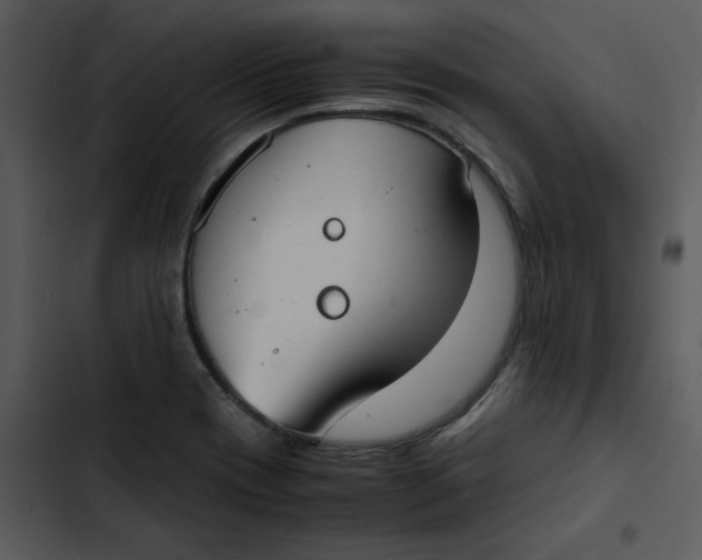 X0000102841417200809081209