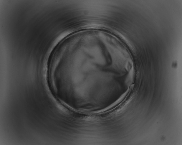 X0000102841418200809081209