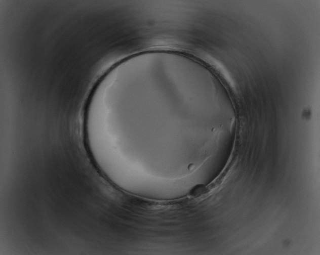 X0000102841419200809081209