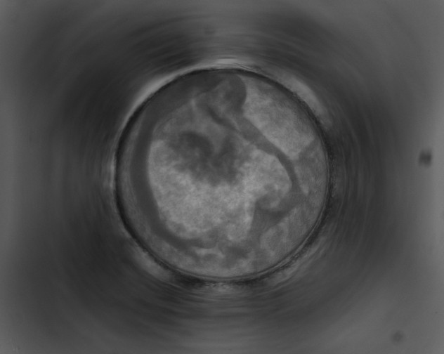 X0000102841420200809081209