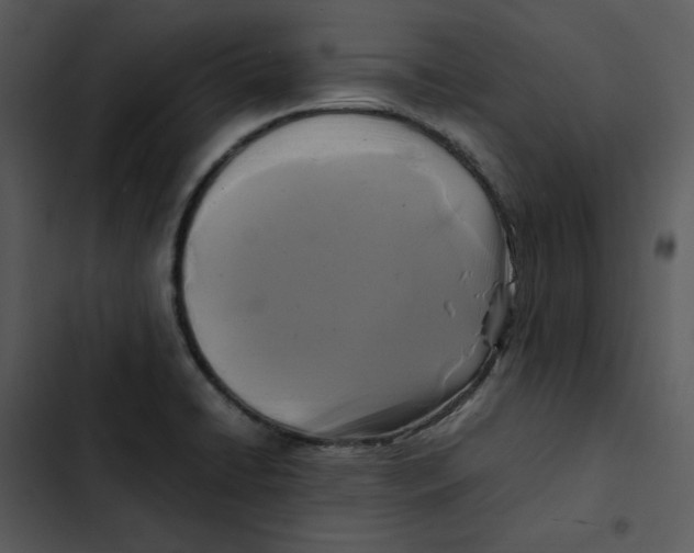 X0000102841422200809081209