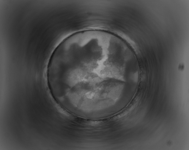 X0000102841423200809081209