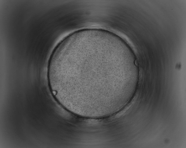 X0000102841424200809081209